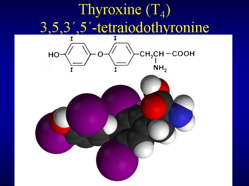 Thyroxine (T4) 3,5,3´,5´-tetraiodothyronine